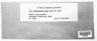 Image Associated With the Occurrence